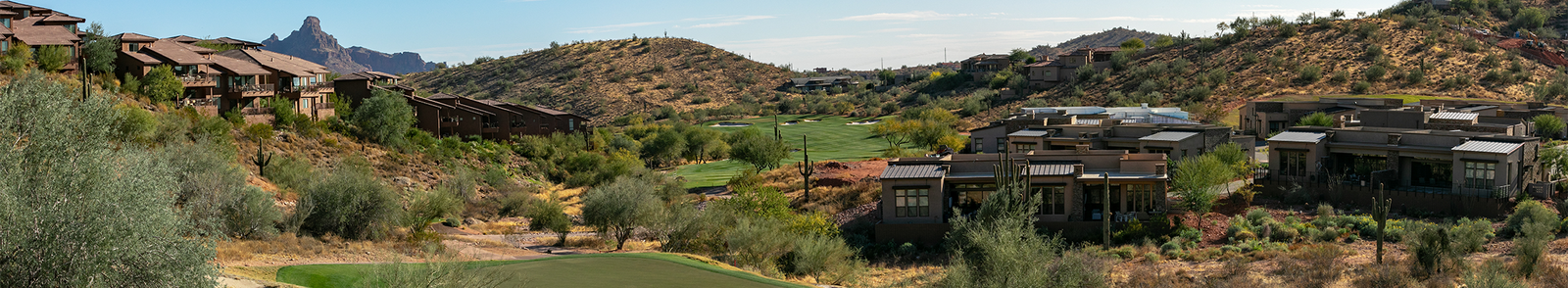 Desert Vista Dog Park photo 3