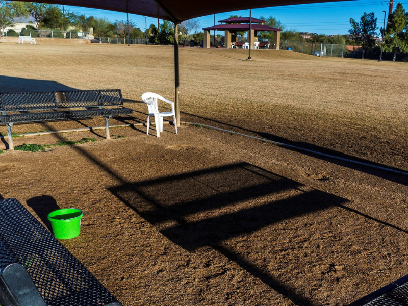 Desert Vista Dog Park photo 4