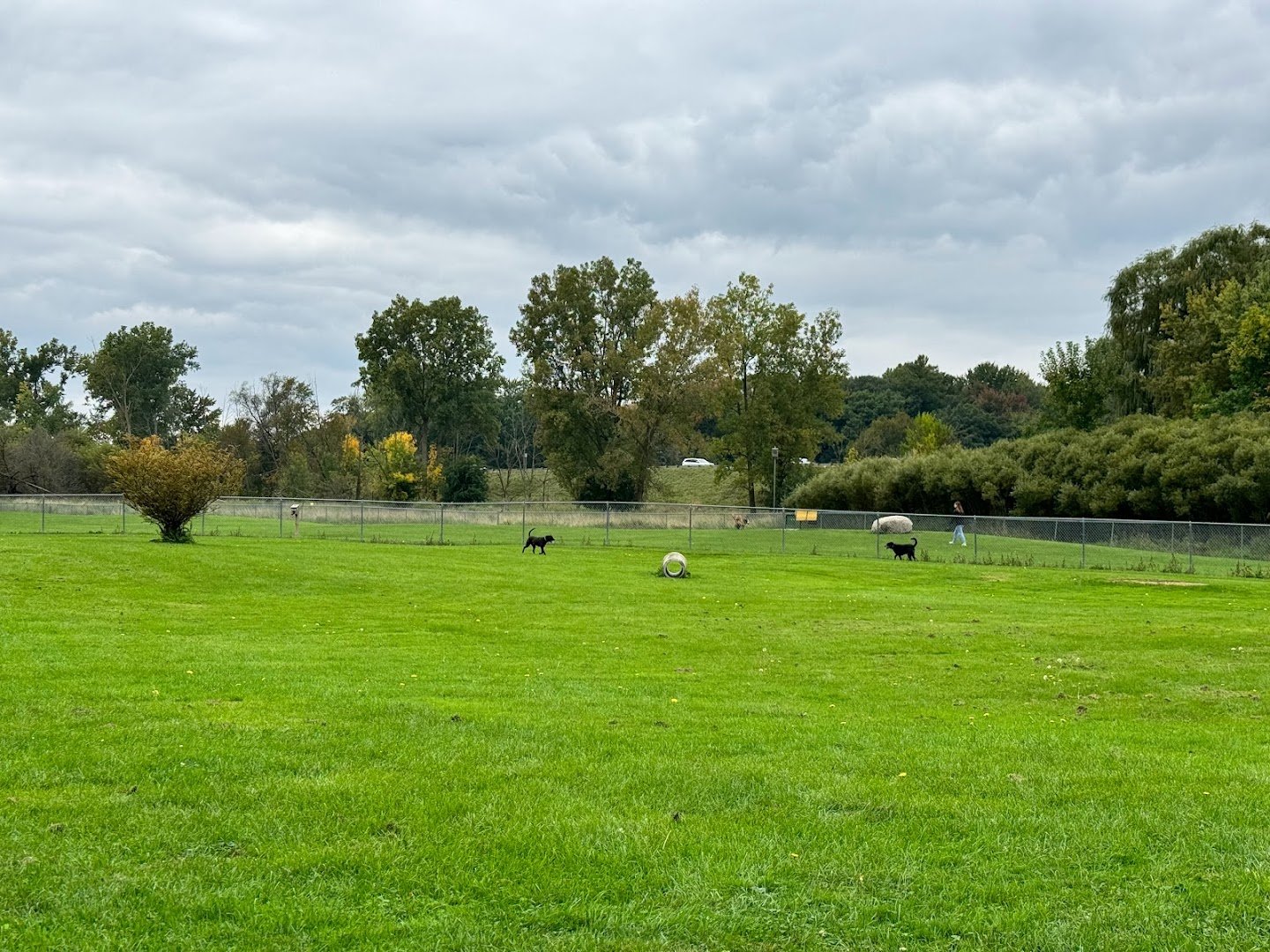 Duffeeland Dog Park