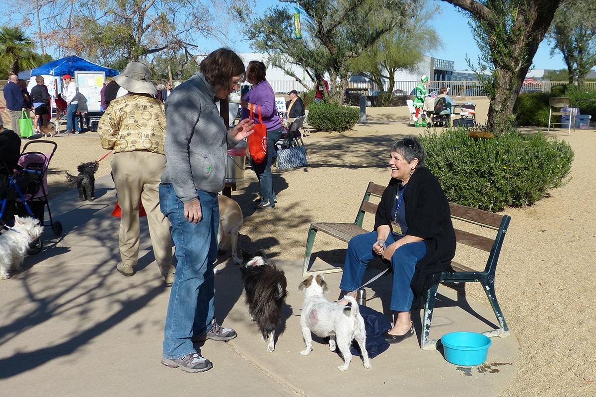 Duffeeland Dog Park photo 3