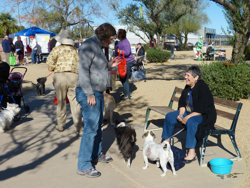 Duffeeland Dog Park photo 4