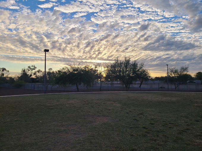 Scotland Yard Dog Park photo 2