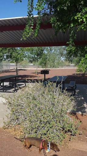 Scotland Yard Dog Park photo 3