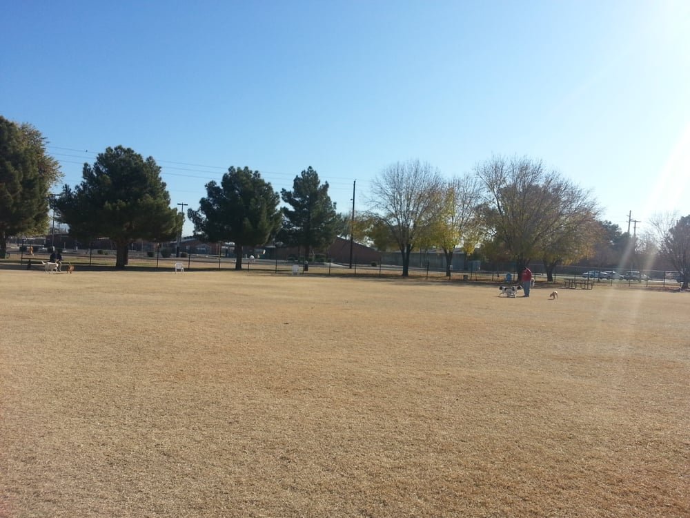 Washington Dog Park photo 4