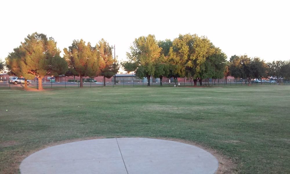 Washington Dog Park photo 7