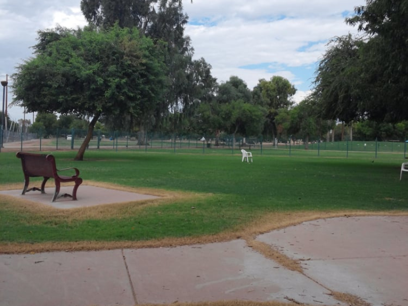 Washington Dog Park photo 8