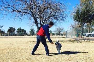 Dog Park photo 9