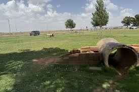Winslow Bark Park photo 4