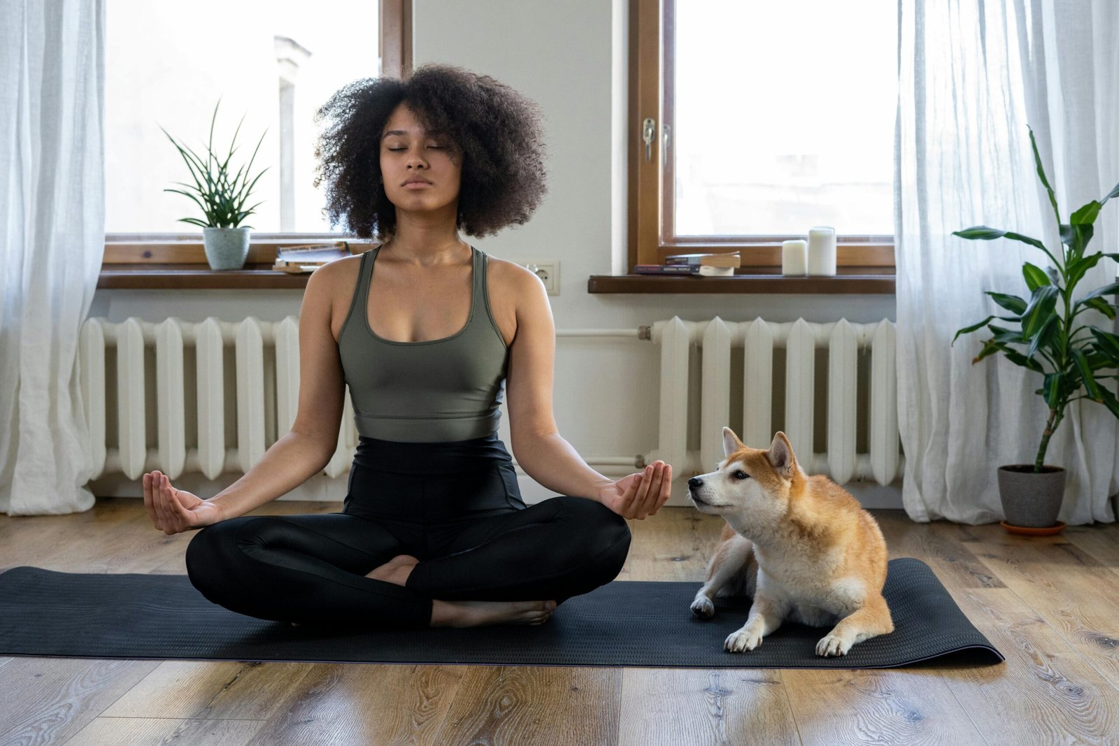 Beyond the Cuddles: Unlock the Secrets to Spending Quality Time with Your Dog