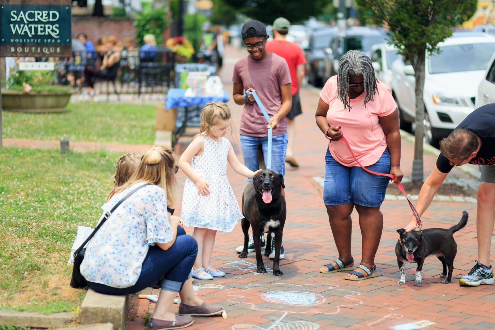 The Ultimate Guide to Dog Park Etiquette: Dos and Don'ts for a Pawsitive Experience