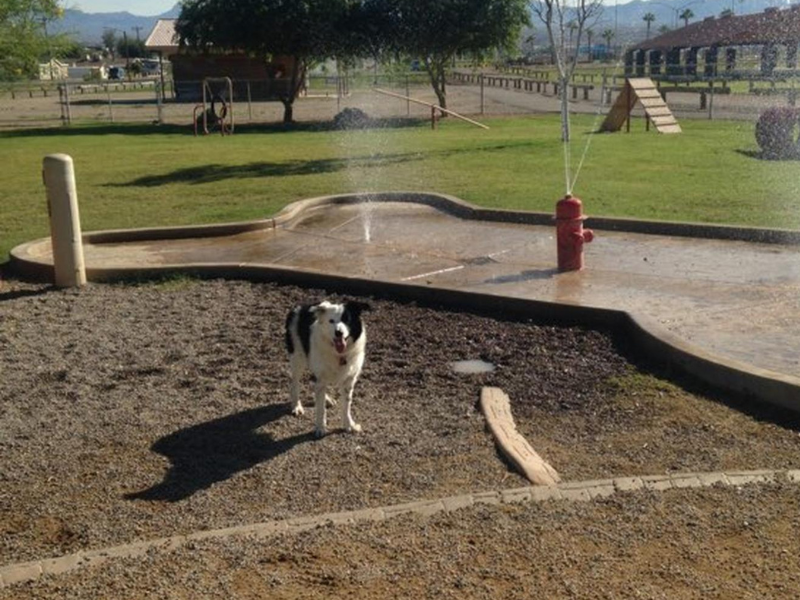 Bullhead City Dog Park, Bullhead City, Arizona