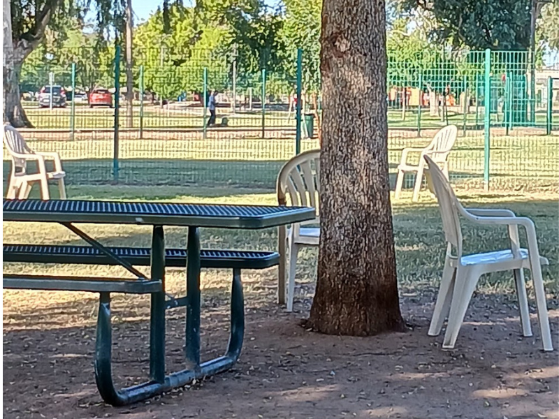 Dog Park photo 2
