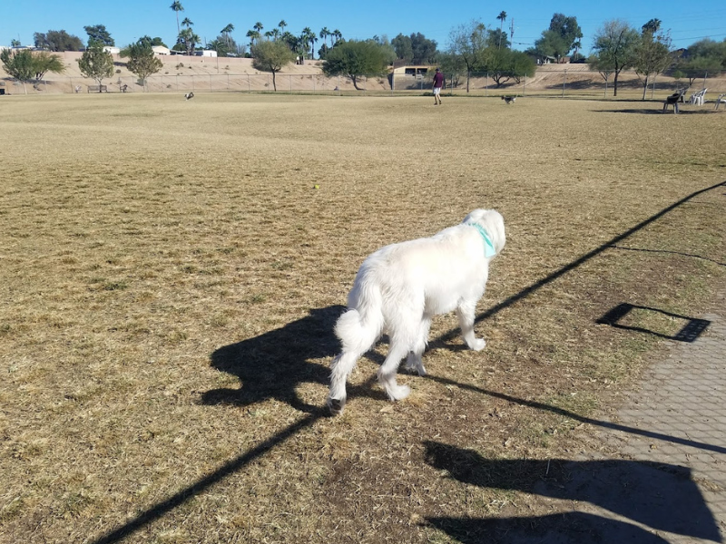 Grover Basin Dog Park