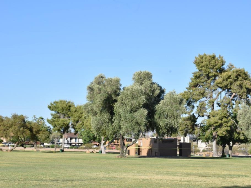 Dog Park photo 4