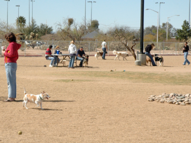 Udall Dog Park